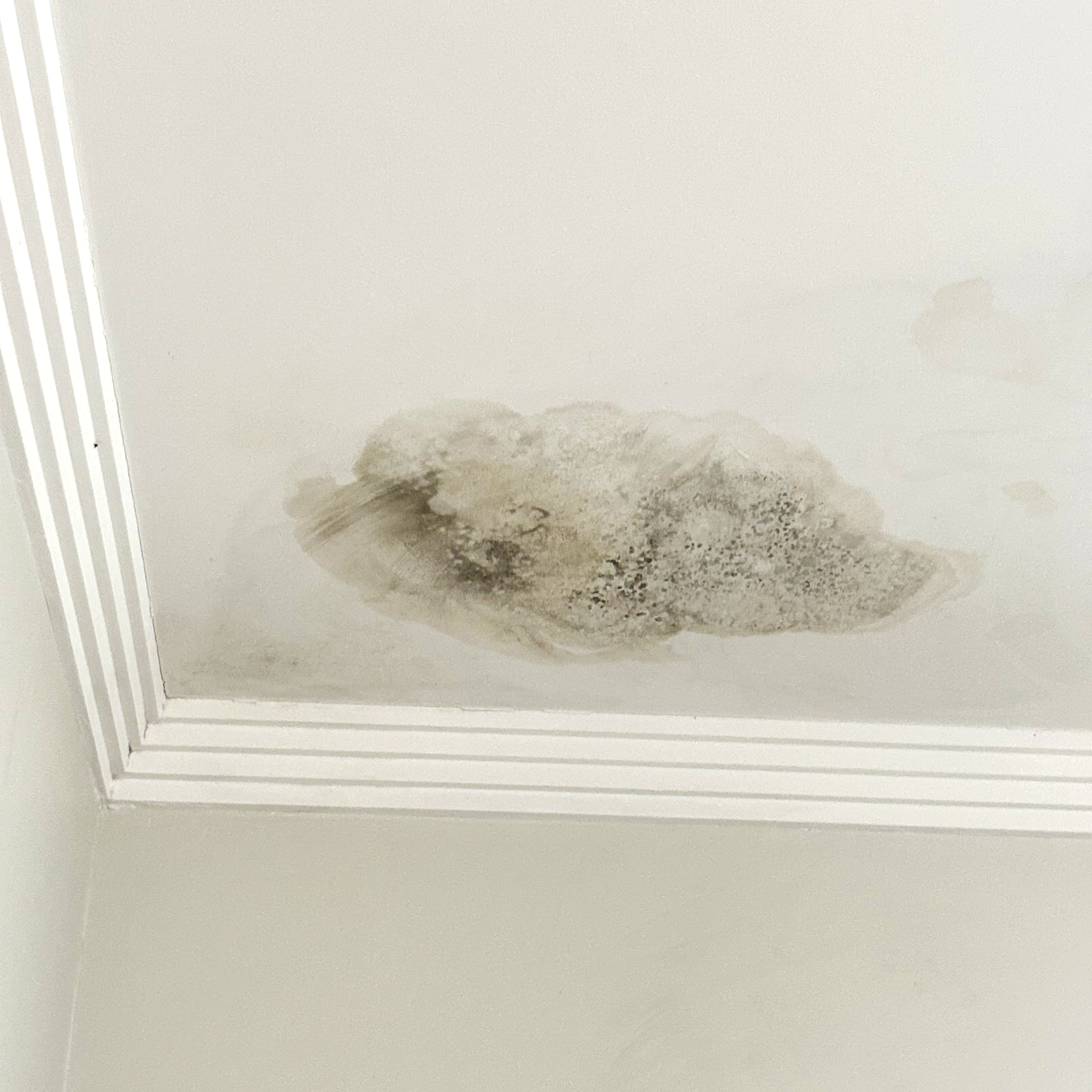 Roof inspection identifying damage